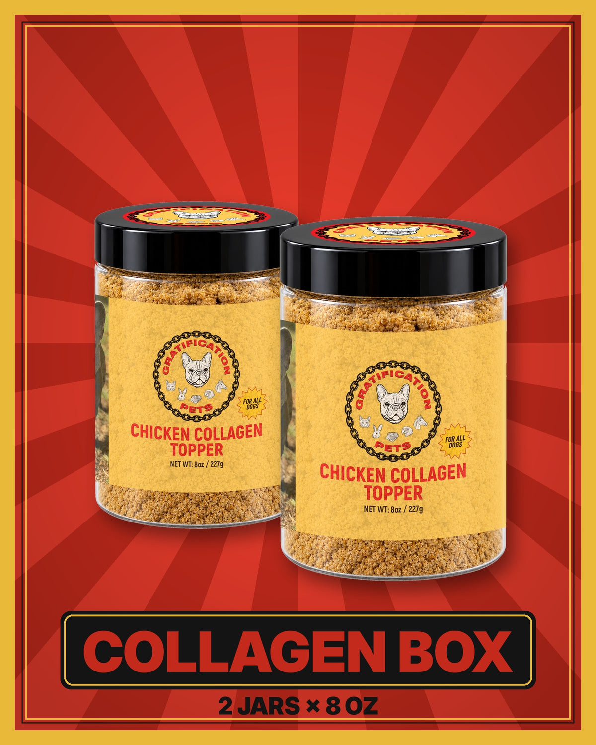 Collagen Box for Dogs
