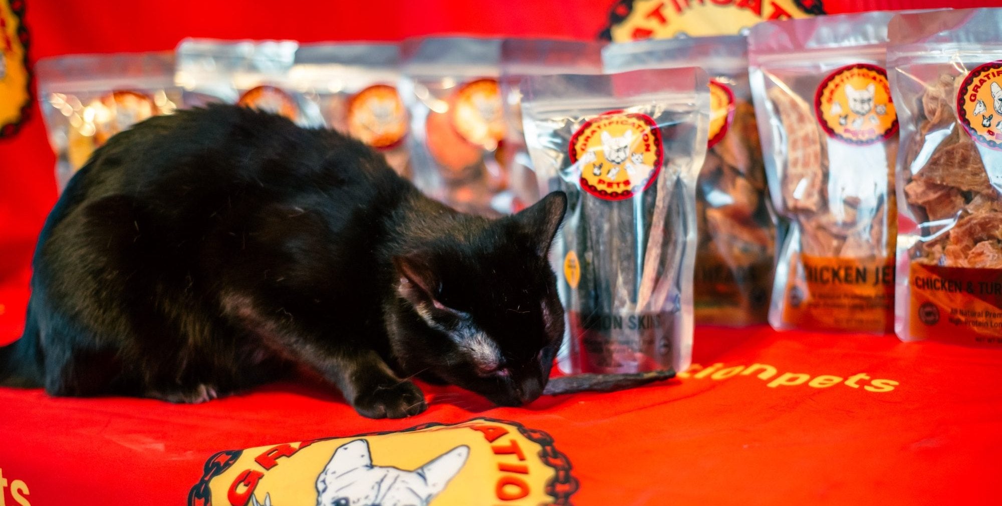 Black cat with a Salmon Skin and the Gratification Pets lineup