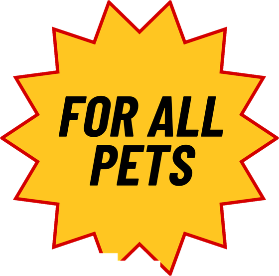 For All Pets